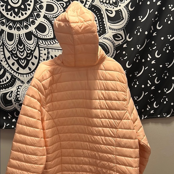 Quilted Puffer Jacket with Hood - Picture 10 of 17